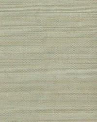 Myoki Neutral Grasscloth by  Brewster Wallcovering 