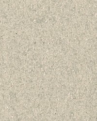 Keijo Champagne Mica by  Brewster Wallcovering 