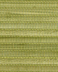 Gisei Green Grasscloth by   