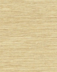 Kenshin Neutral Grasscloth by  Brewster Wallcovering 