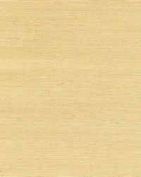 Shinko Champagne Grasscloth by  Brewster Wallcovering 