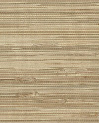 Endo Neutral Grasscloth by   