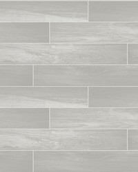 Titan Dove Wood Wallpaper by   