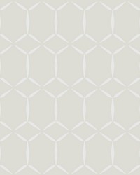 Fusion Neutral Geometric Wallpaper by   