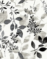 Gossamer Black Botanical Wallpaper by   