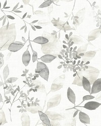 Gossamer Grey Botanical Wallpaper by   