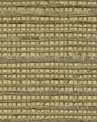 Luoma Light Brown Sisal Grasscloth Wallpaper by   