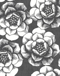 Fanciful Black Floral Wallpaper by   
