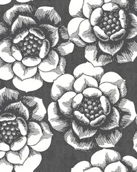 Fanciful Black Floral Wallpaper by  York Wallcovering 