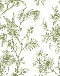 Jessamine Green Floral Trail Wallpaper by  York Wallcovering 