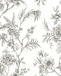 Jessamine Grey Floral Trail Wallpaper by  York Wallcovering 