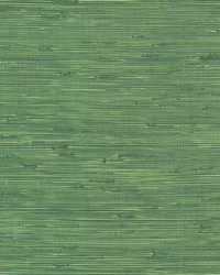 Fiber Green Weave Texture Wallpaper by  Brewster Wallcovering 
