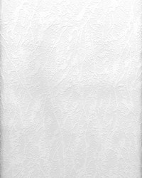 Freese Paintable Plaster Texture Wallpaper by   