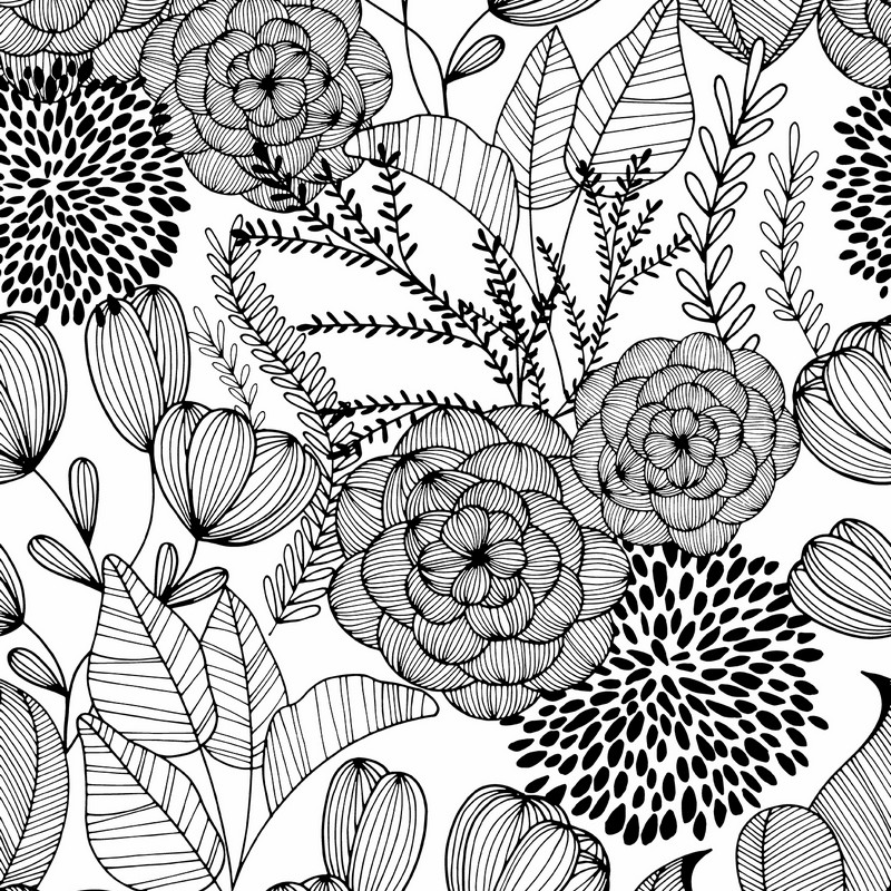 Brewster Wallcovering Alannah Black Botanical Wallpaper Wallpaper