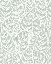 Del Mar Sage Leaf Wallpaper by  Roth and Tompkins Textiles 