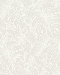 Balboa White Botanical Wallpaper by   