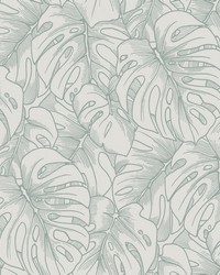 Balboa Olive Botanical Wallpaper by  Roth and Tompkins Textiles 