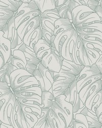 Balboa Olive Botanical Wallpaper by   