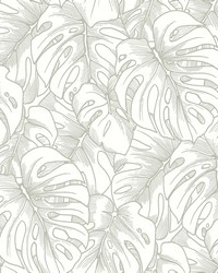Balboa Silver Botanical Wallpaper by   