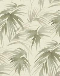 Darlana Sage Grasscloth Wallpaper by  Roth and Tompkins Textiles 
