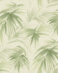 Darlana Green Grasscloth Wallpaper by  Roth and Tompkins Textiles 