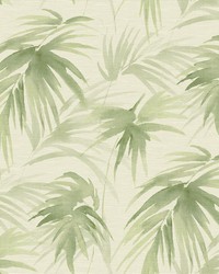 Darlana Green Grasscloth Wallpaper by   