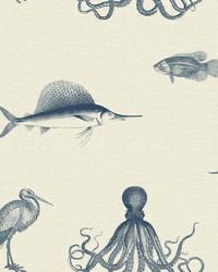 Oceania Taupe Sea Creature Wallpaper by  Brewster Wallcovering 