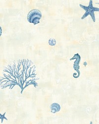 Boca Raton Blue Seashells Wallpaper by   