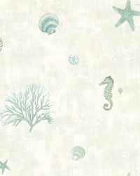 Boca Raton Teal Seashells Wallpaper by   
