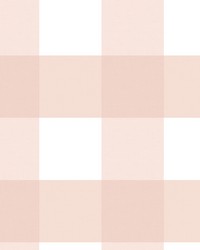 Selah Light Pink Gingham Wallpaper by  Vervain Fabrics 