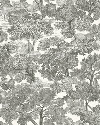 Spinney Black Toile Wallpaper by  American Silk Mills 