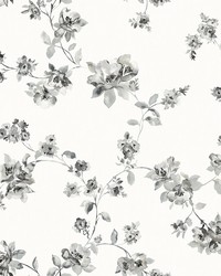 Cyrus Black Floral Wallpaper by   