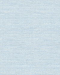 Agave Sky Blue Grasscloth Wallpaper by  Brewster Wallcovering 