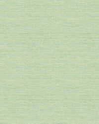 Agave Green Grasscloth Wallpaper by   