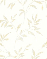 Sanibel Cream Trail Wallpaper by   