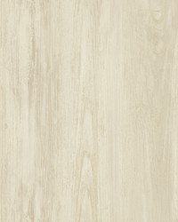 Mapleton Beige Wood Wallpaper by   