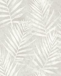 Amador Silver Palm Wallpaper by   