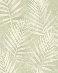 Amador Olive Palm Wallpaper by   