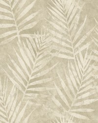 Amador Pewter Palm Wallpaper by   