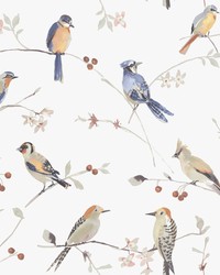 Birdsong Orange Trail Wallpaper 3124-13851 by  Old World Weavers 