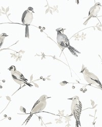 Birdsong Grey Trail Wallpaper 3124-13853 by  Novel 