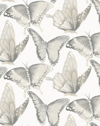 Janetta Grey Butterfly Wallpaper 3124-13931 by  Old World Weavers 