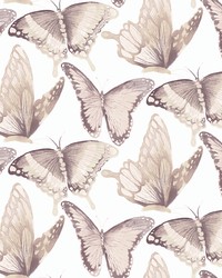 Janetta Blush Butterfly Wallpaper 3124-13934 by   