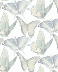 Janetta Mint Butterfly Wallpaper 3124-13935 by   