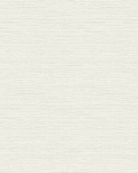 Agave Light Grey Faux Grasscloth Wallpaper 3124-24281 by   