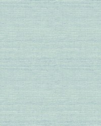 Agave Aqua Faux Grasscloth Wallpaper 3124-24282 by   