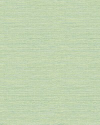 Agave Green Faux Grasscloth Wallpaper 3124-24284 by   
