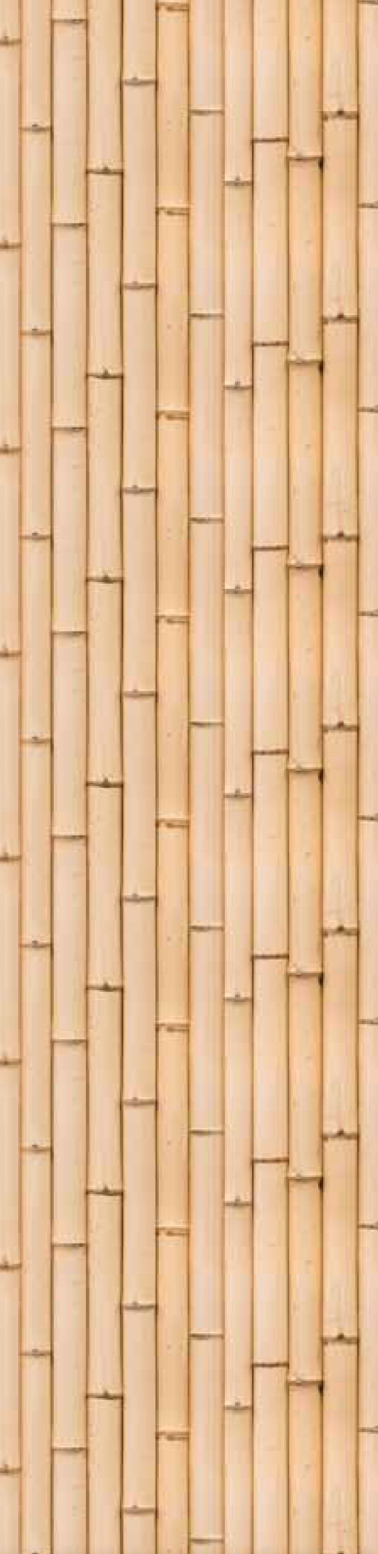 Bamboo Reed Paint Color at James Curry blog