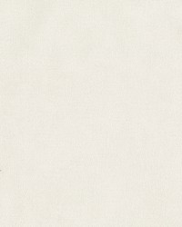 Cary Beige Texture Wallpaper by   