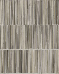 Aspen Grey Natural Stripe Wallpaper by  Carey Lind 